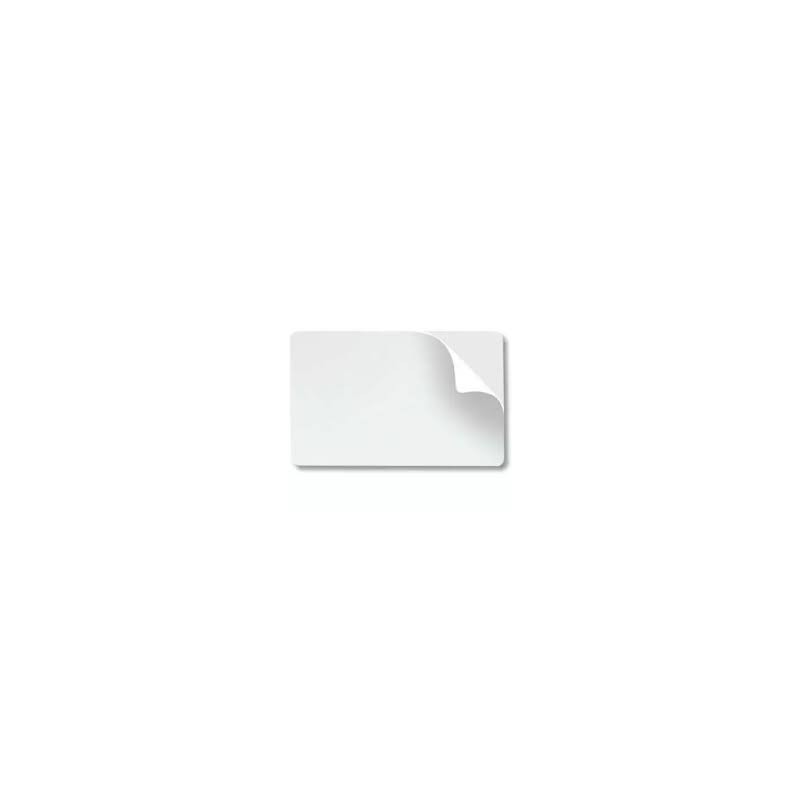 CINTA RIBBON DATACARD SD260 (597640-001) STICKICARD