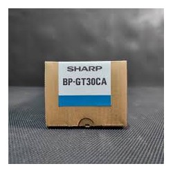 TONER SHARP BPGT30CA CIAN