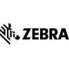 RIBBON ZEBRA  (3015127)